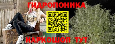 MDMA Premium VHQ Гатчина