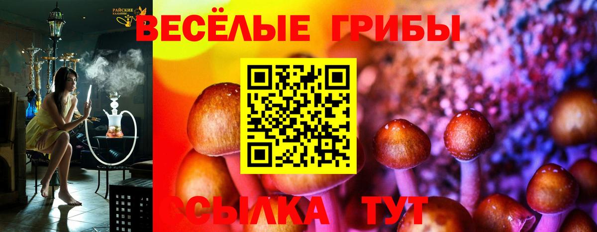 Псилоцибиновые грибы Cubensis  Вход с VPN  Нефтекамск  Галлюциногенные грибы Psilocybe 