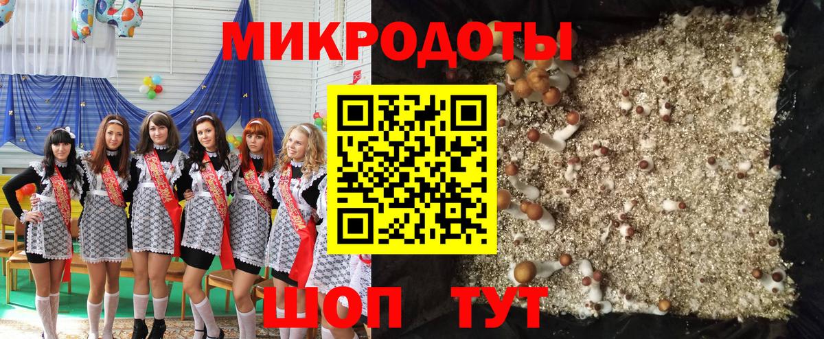 Псилоцибиновые грибы ЛСД Нефтекамск